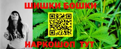 Альфа ПВП Малгобек