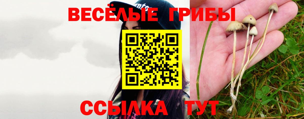 Галлюциногенные грибы мухоморы  Вход с VPN  как найти закладки  Вятские Поляны  Галлюциногенные грибы прущие грибы 